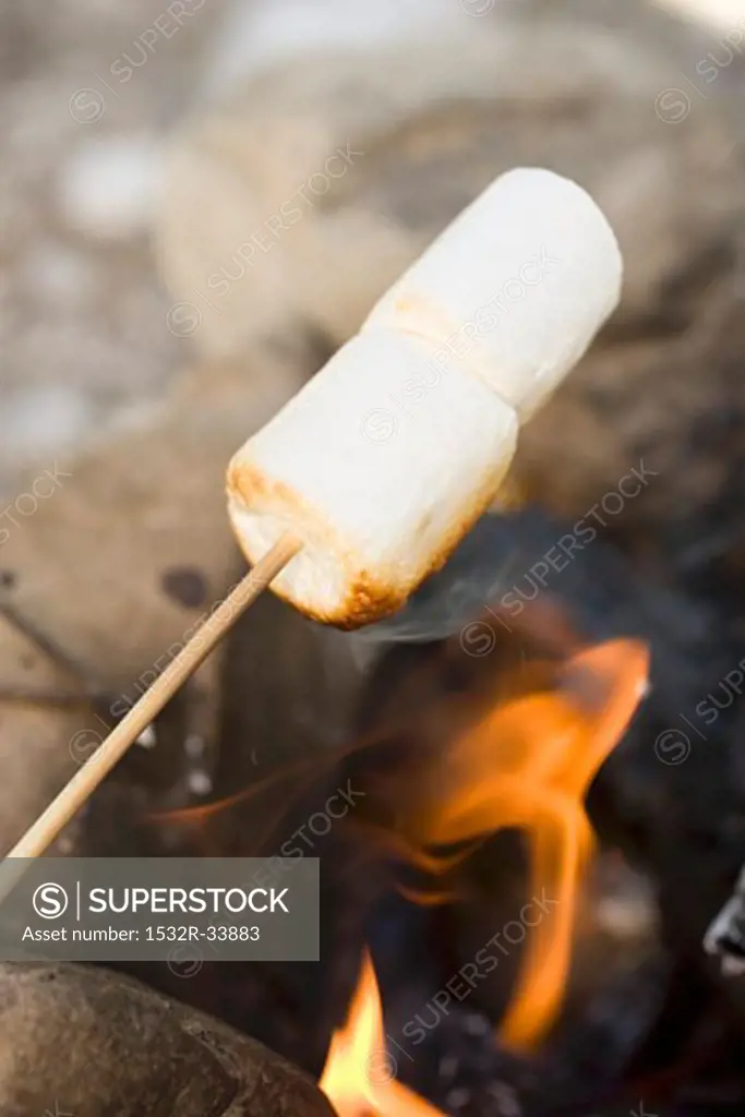 Marshmallows on stick over camp-fire