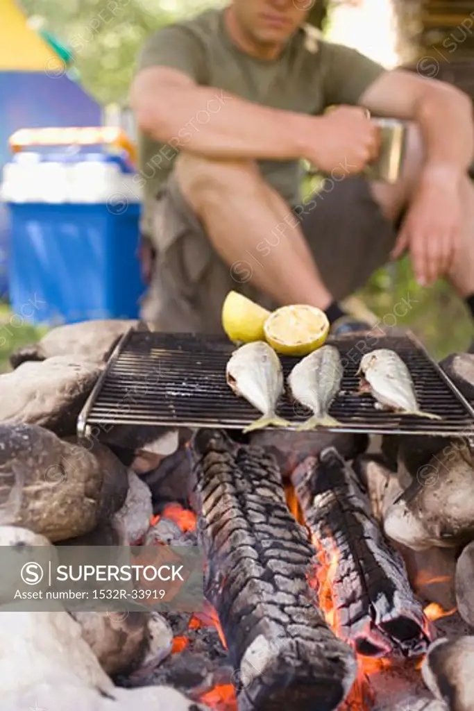 Man grilling fish over camp-fire