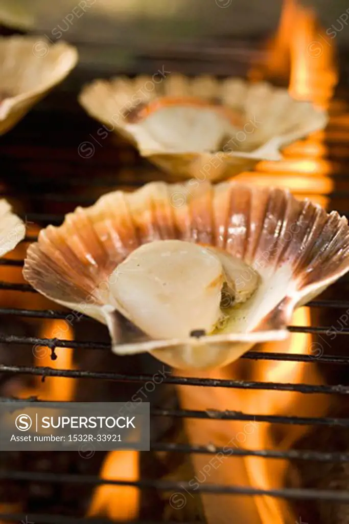 Scallops on barbecue (close-up)