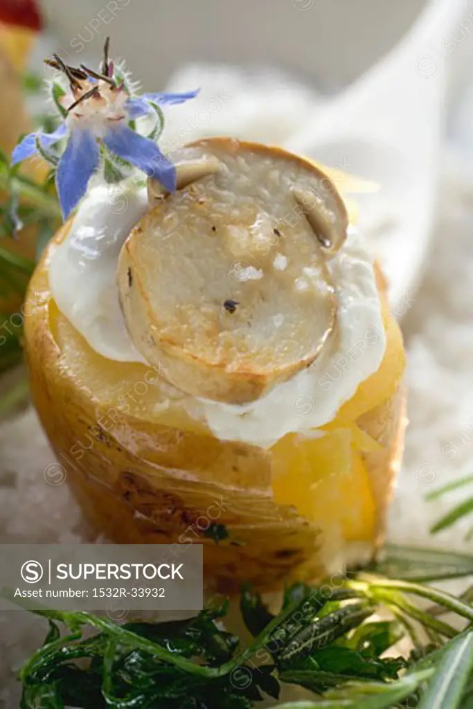 Baked potato with cep and sour cream