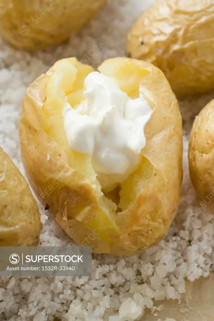 Baked potatoes with sour cream on salt