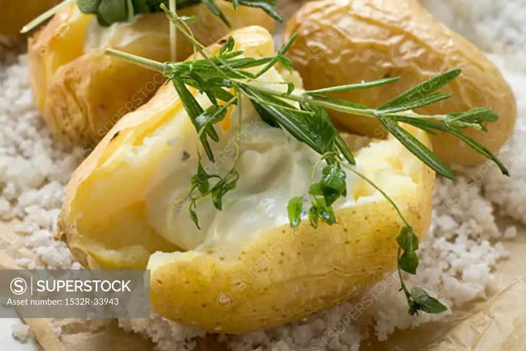 Baked potato with sour cream and herbs on salt