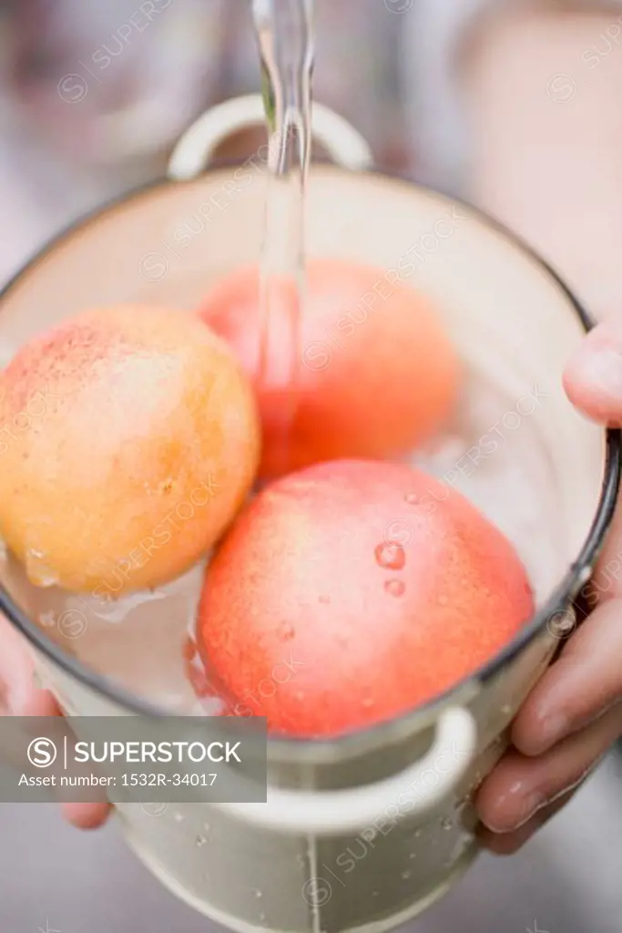 Washing nectarines in bucket under running water