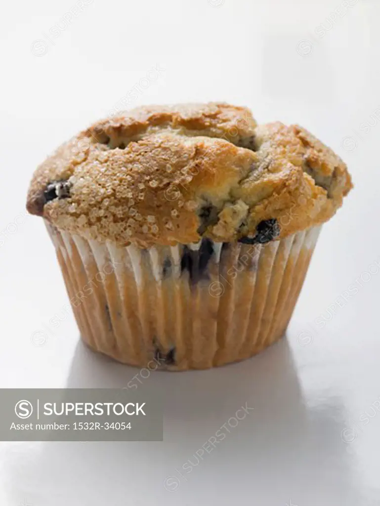 Blueberry muffin in paper case