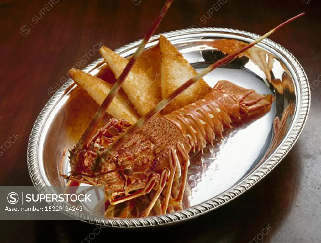 Cooked spiny lobster with toast on silver platter