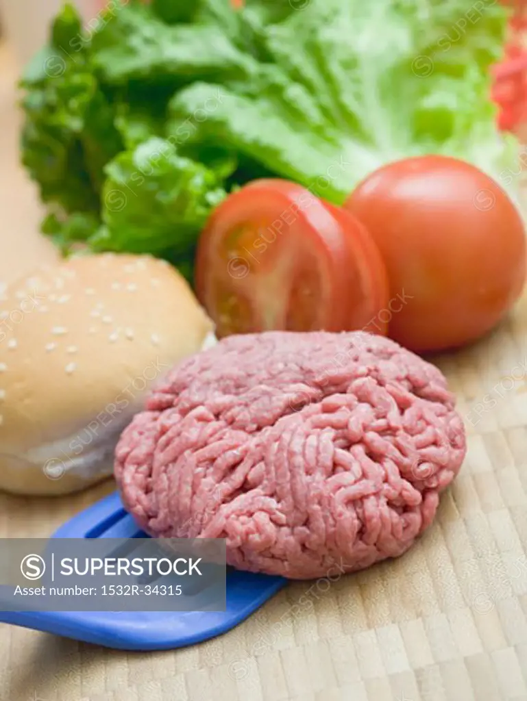 Ingredients for hamburger