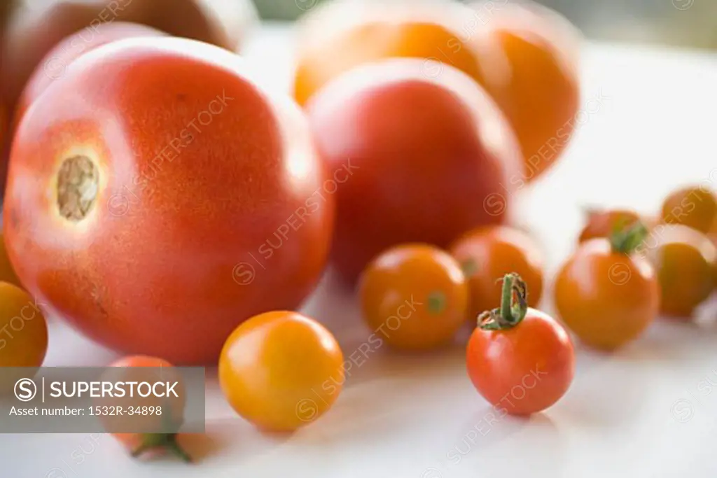 Various types of tomatoes