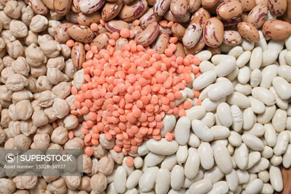 Borlotti beans, white beans, chick-peas and red lentils