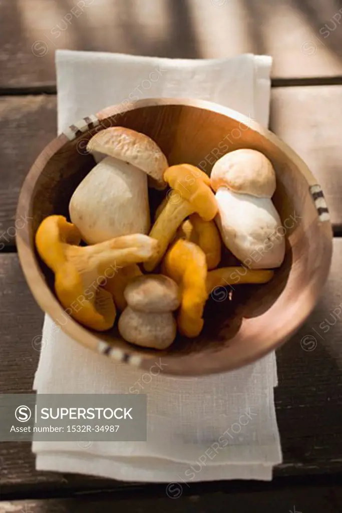 Chanterelles and ceps in wooden bowl