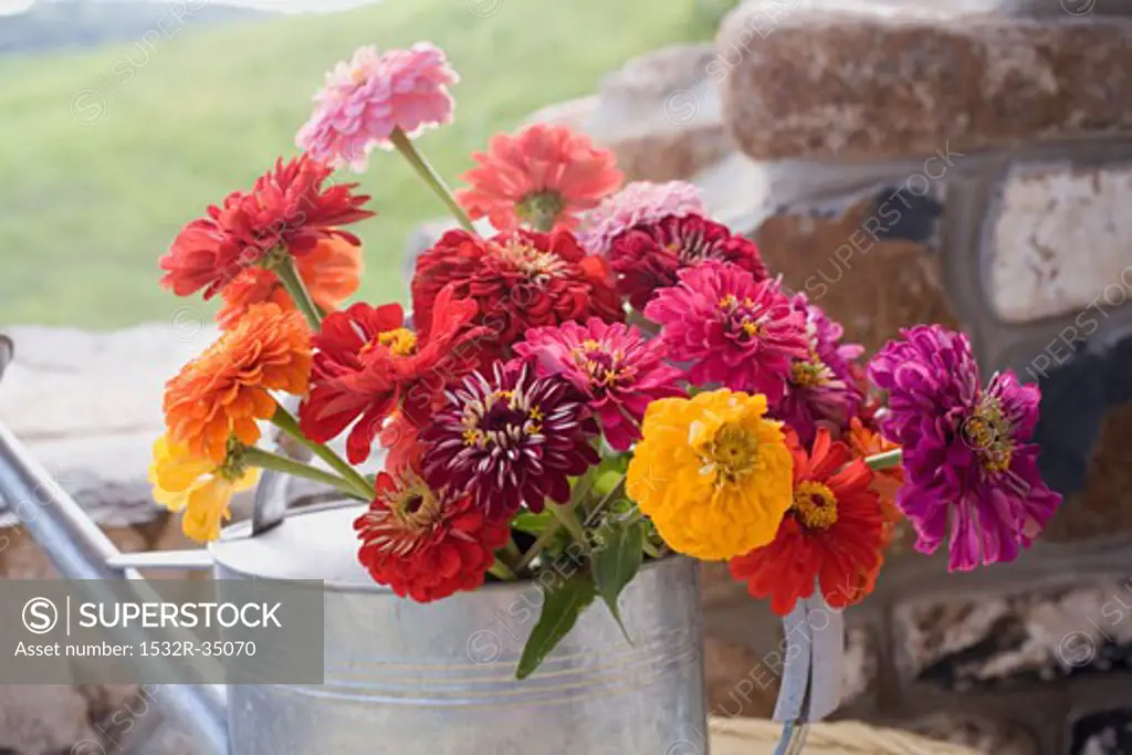 Summer flowers in watering can
