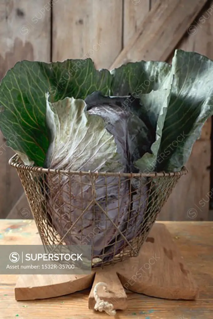 Red cabbage in basket on chopping board in front of wooden wall