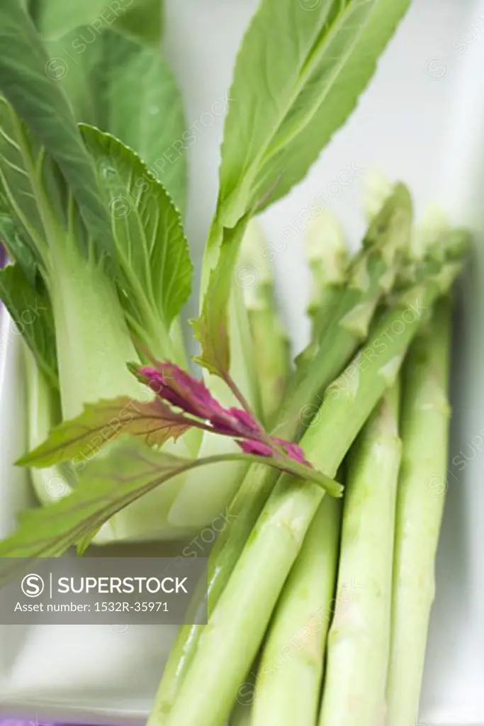 Green asparagus and pak choi