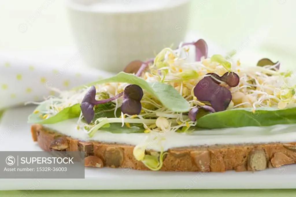 Yoghurt, sprouts and herbs on slice of bread