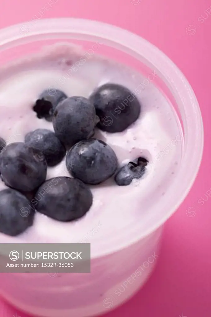 Blueberry yoghurt in plastic pot