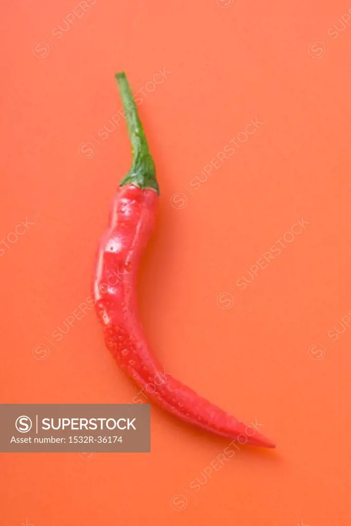 Red chilli on red background