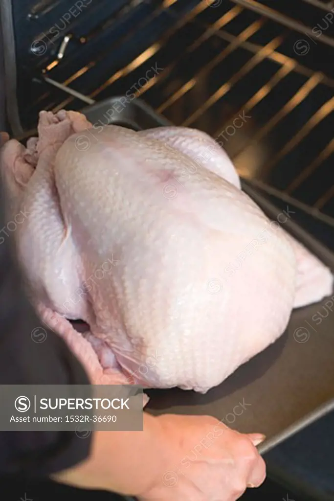 Putting turkey on baking tray into oven