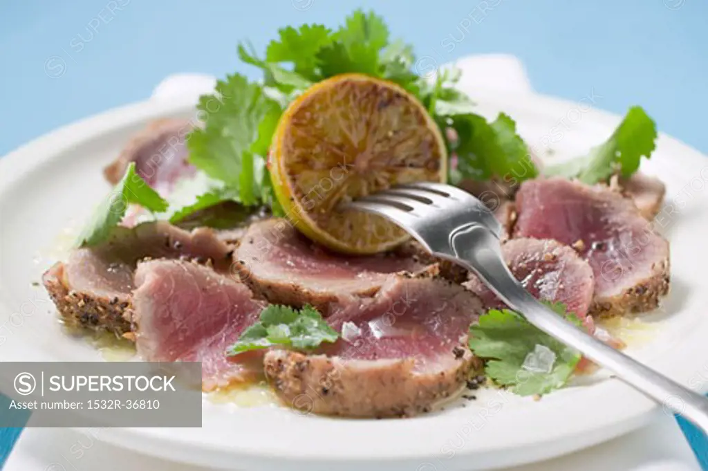 Seared, seasoned tuna fillet with coriander leaves