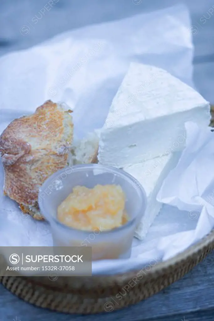 Sheep's cheese and bread on paper