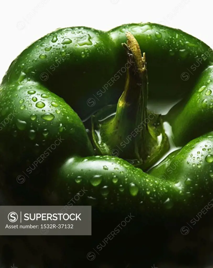 Fresh, washed green pepper