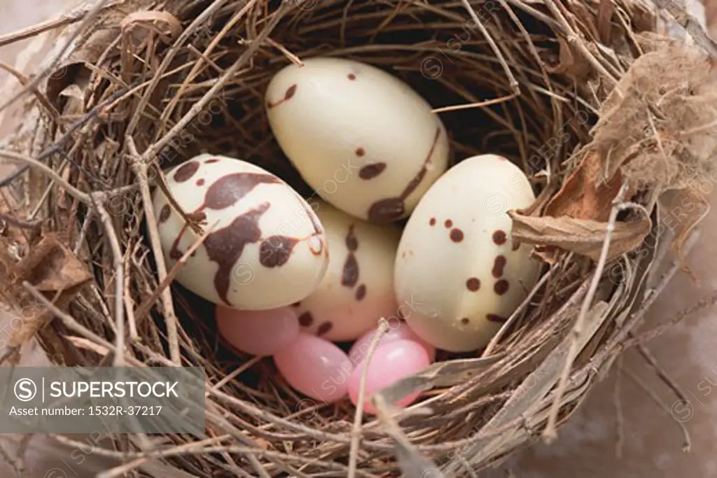 Chocolate eggs in Easter nest (close-up)