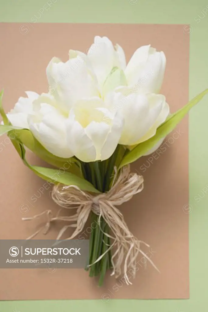 A bunch of white tulips