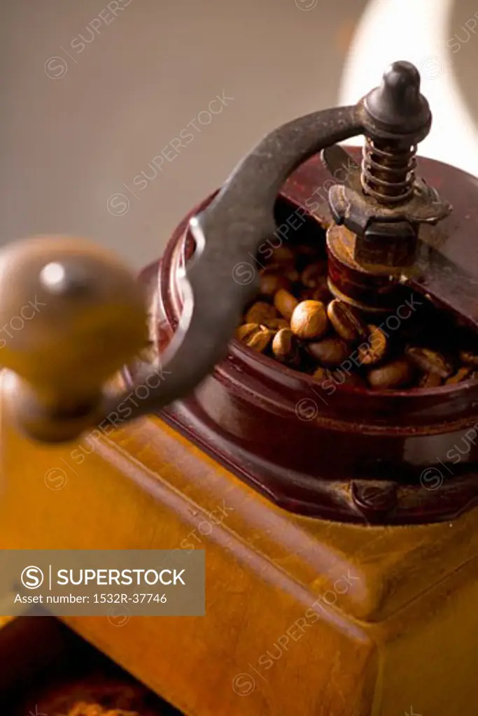 Old coffee mill with coffee beans
