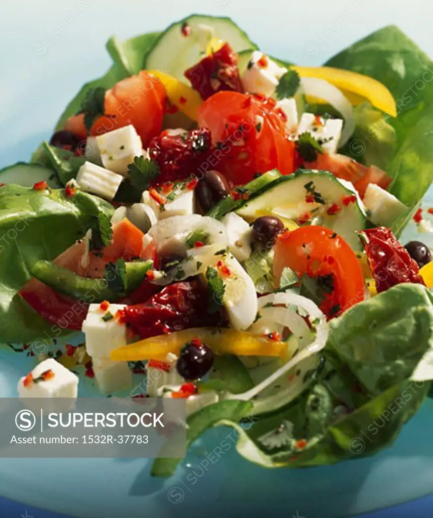 Shepherd's salad with dried tomatoes, olives and feta
