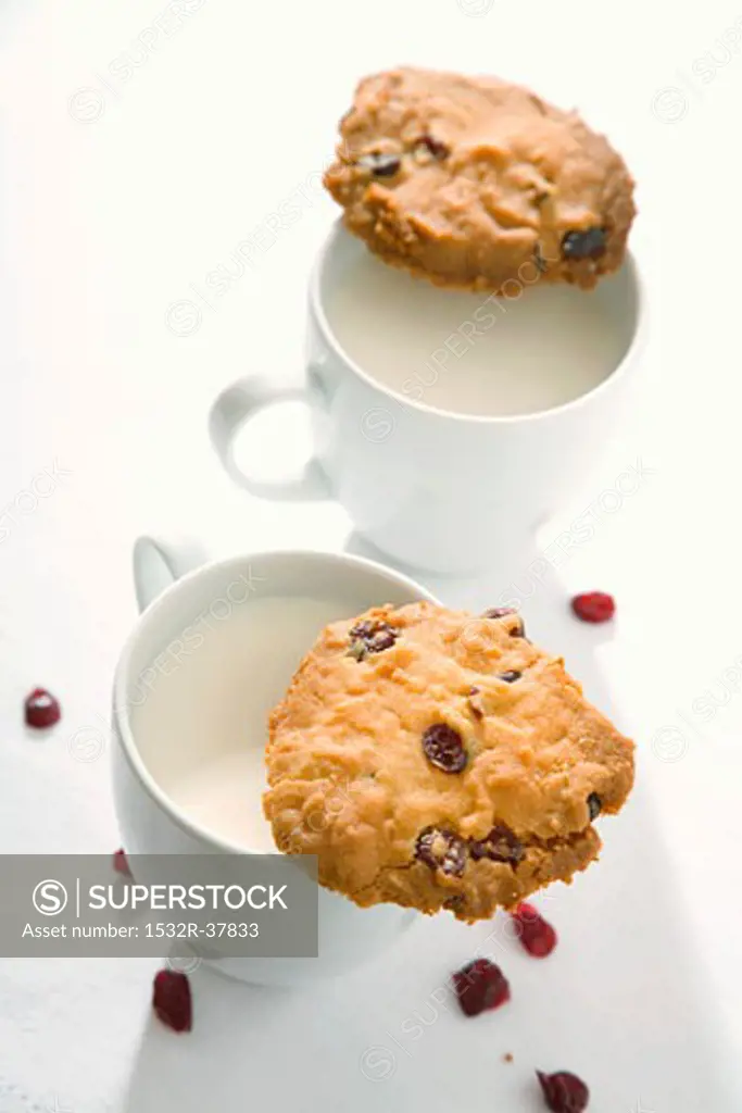 Two cranberry cookies and two cups of milk