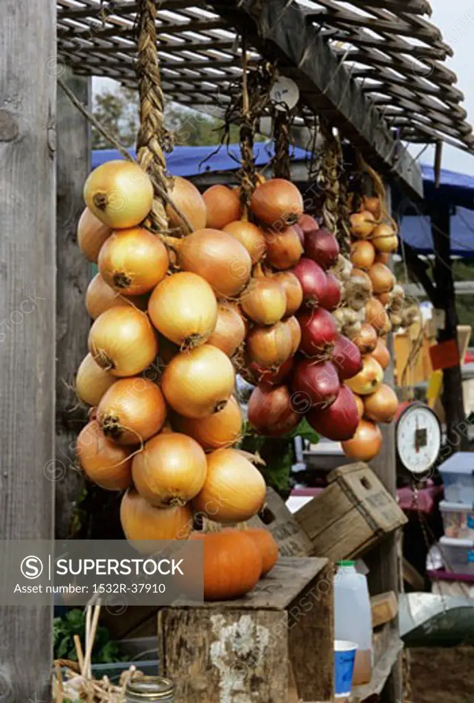 Assorted Onions Hanging at an Outdoor Market