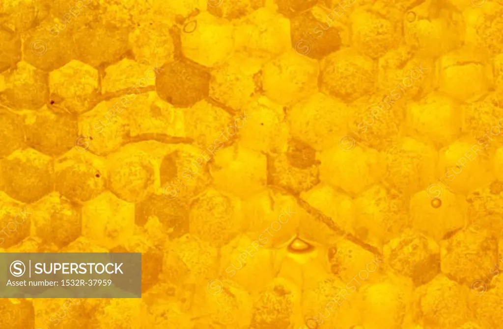 Honeycomb Close Up