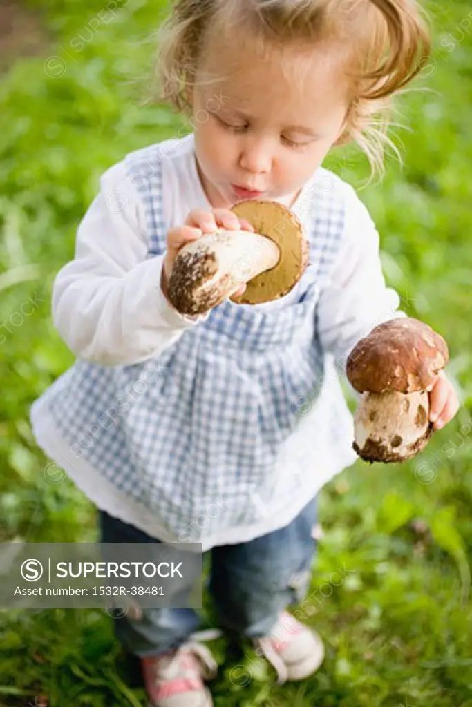 Small girl holding two fresh ceps