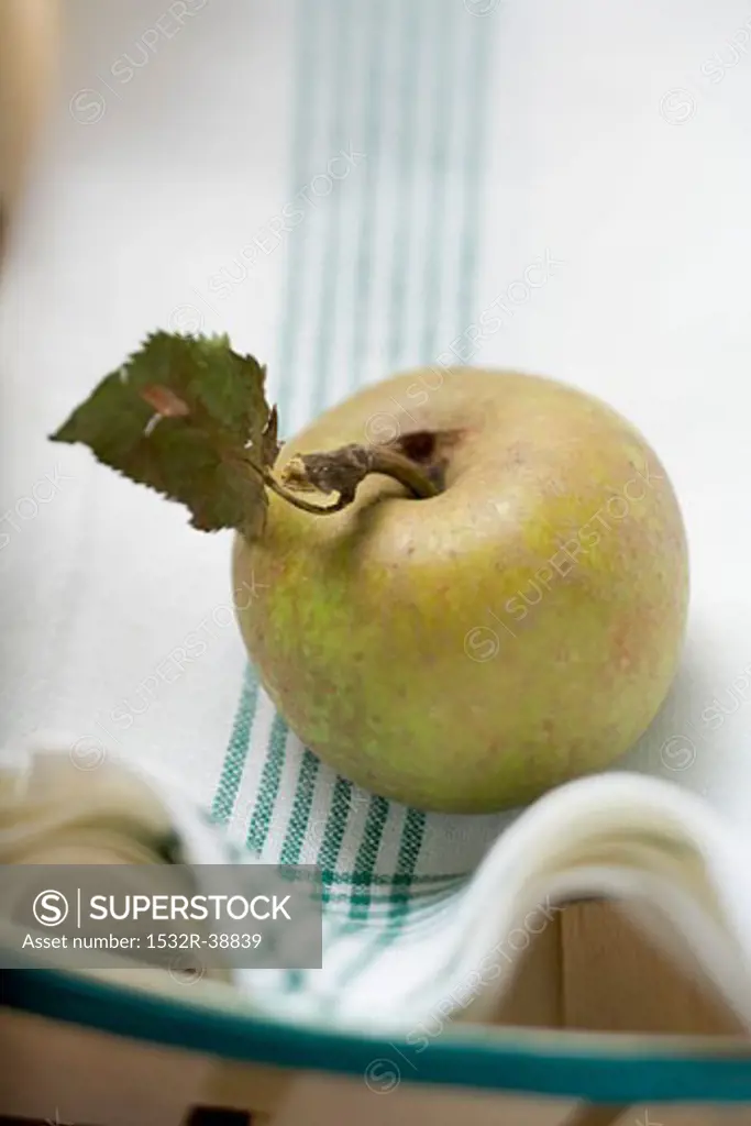 An organic apple on a tea towel