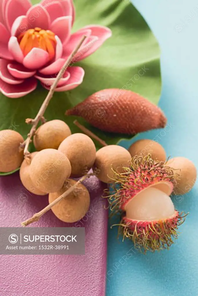 Exotic fruit and water lily