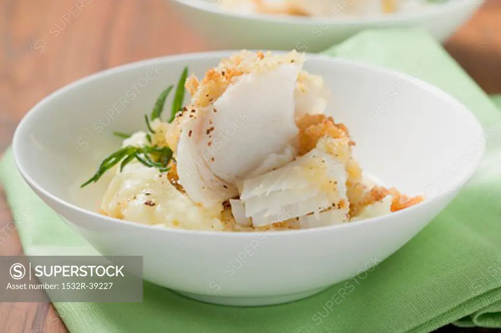 Haddock with potato crust on mashed potato