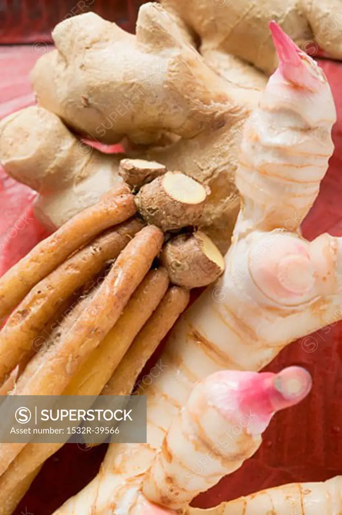 Ginger, galangal and fingerroot