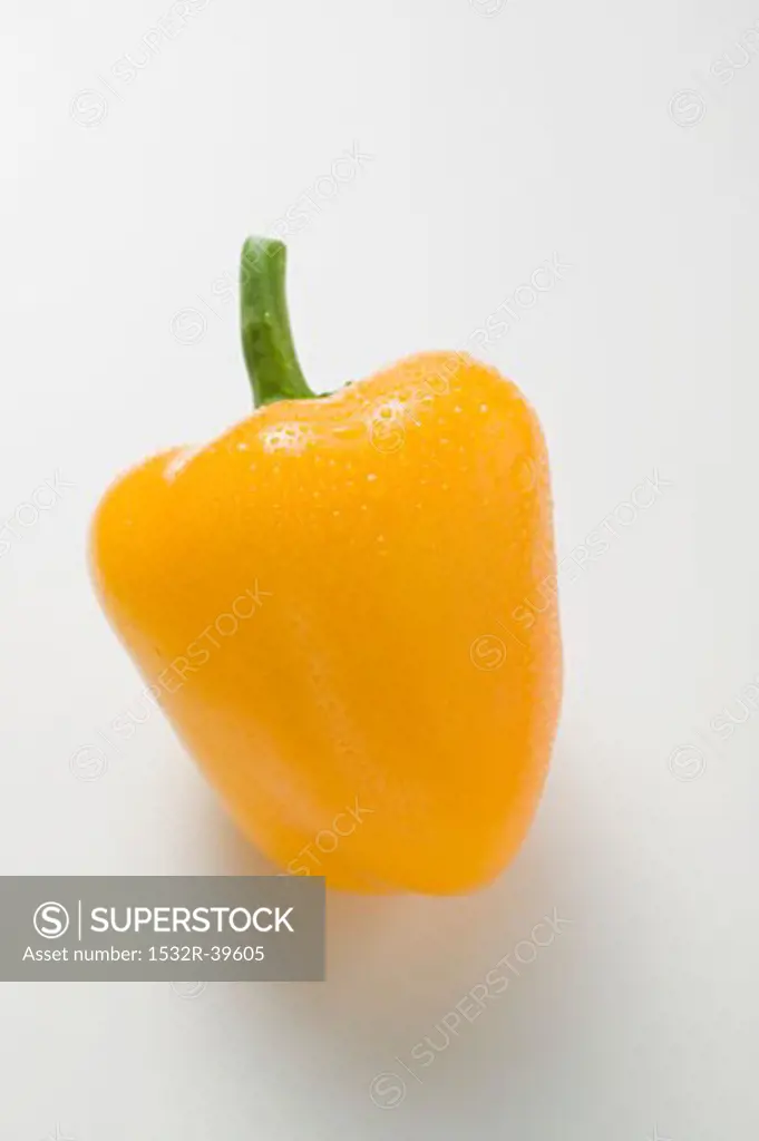 Yellow pepper with drops of water