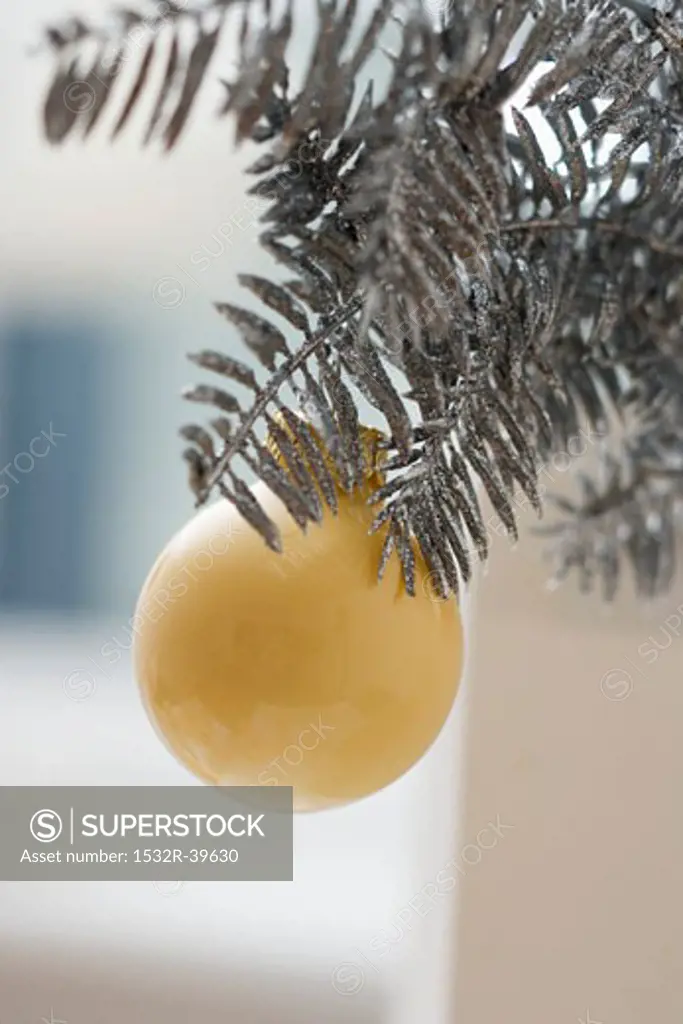 Christmas bauble on silver fir branch