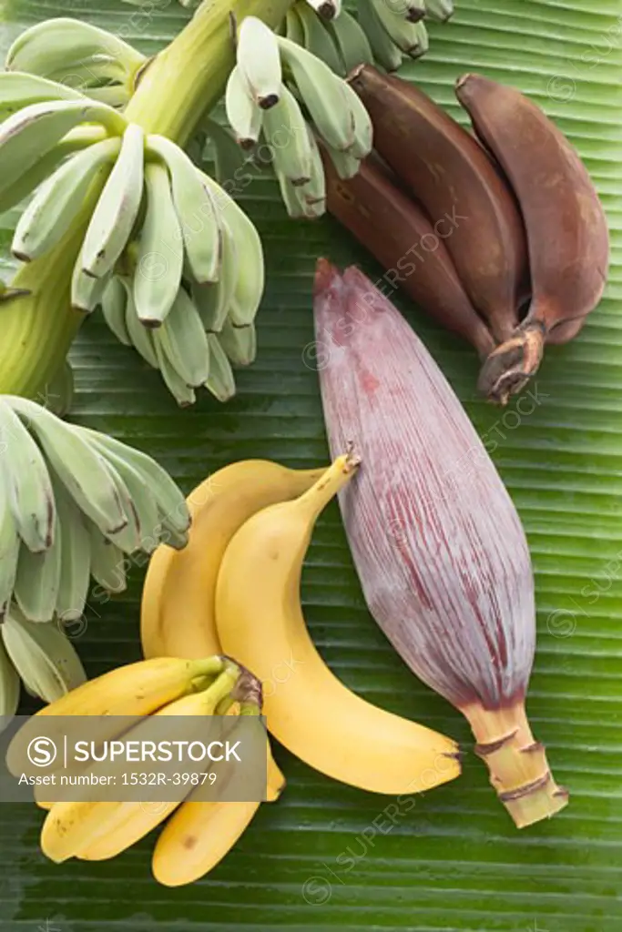 Banana still life on leaf