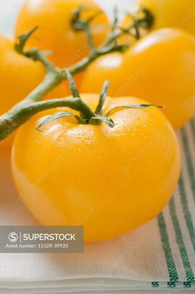 Five yellow cherry tomatoes on tea towel