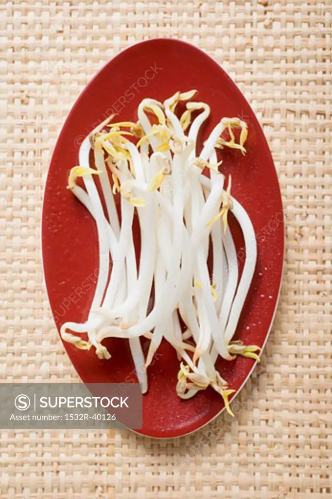 Fresh sprouts on red plate