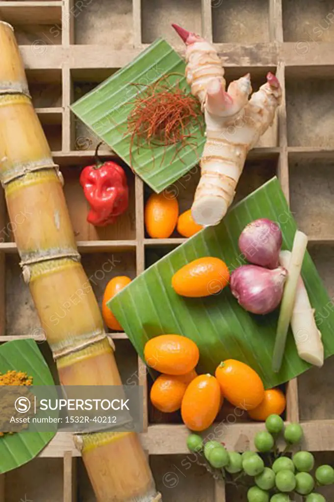 Kumquats, vegetables, spices and sugar cane in type case