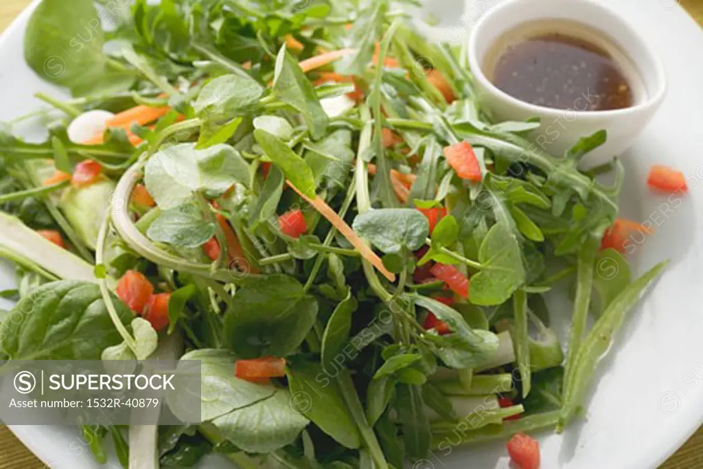 Mixed salad leaves with balsamic dressing