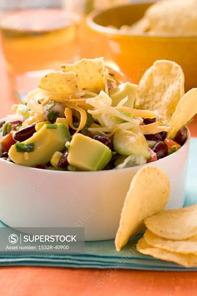 Vegetable salad with tortilla chips (Mexico)