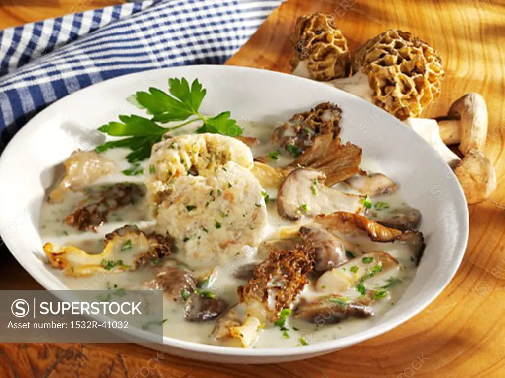 Morels and ceps in cream sauce with bread dumpling