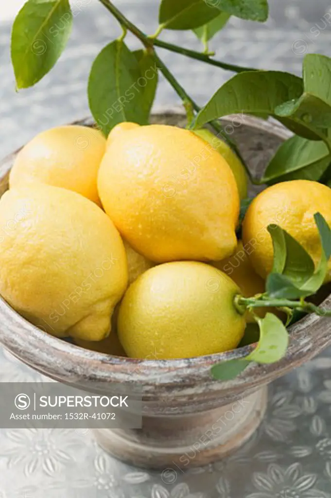 Fresh lemons with leaves in bowl