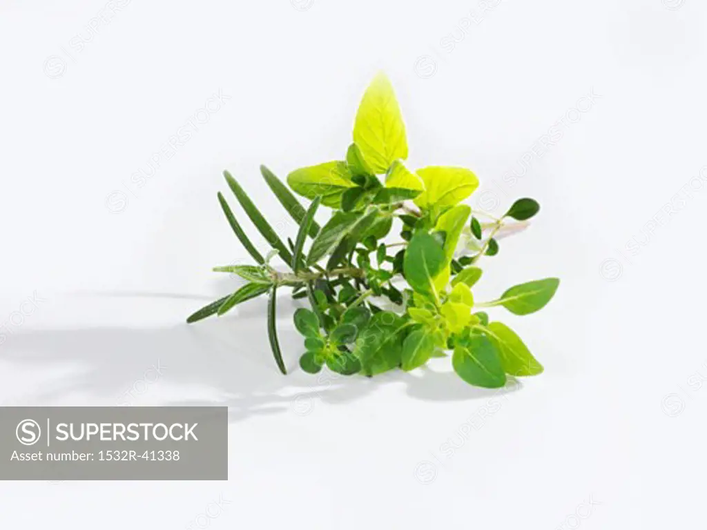 Small bunch of herbs (oregano, rosemary, marjoram, thyme)