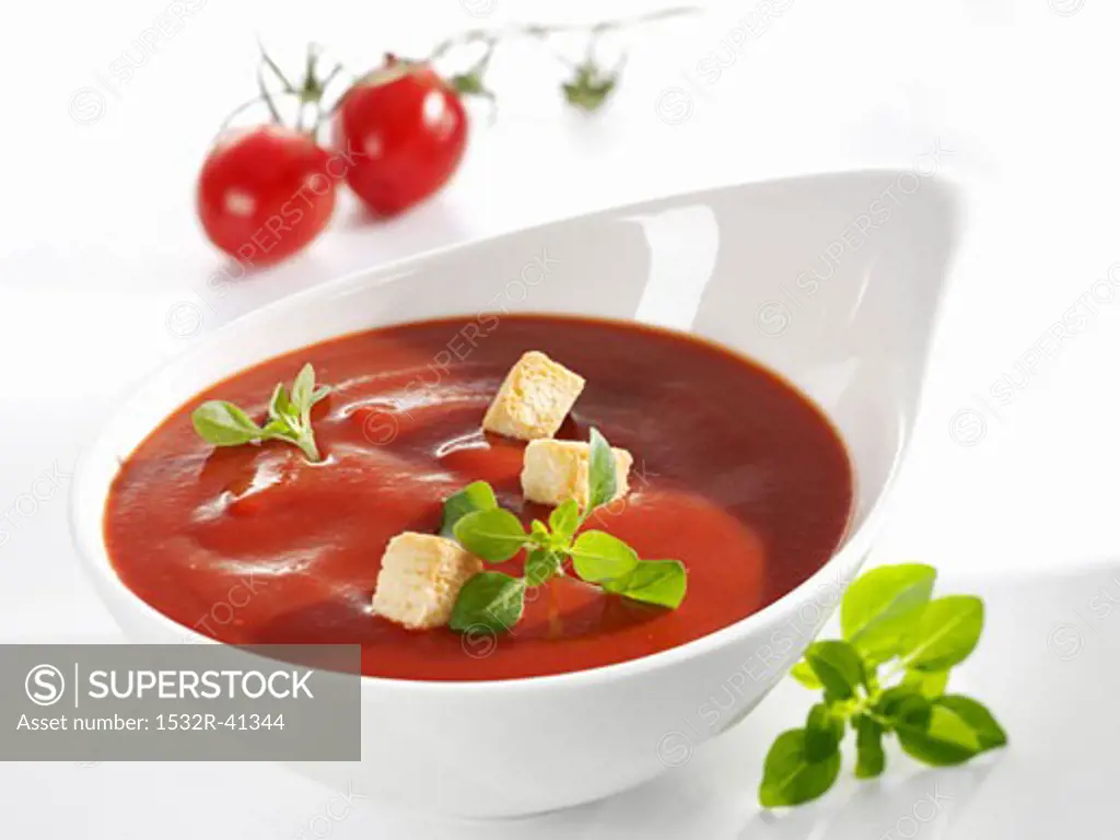 Tomato sauce with croutons and basil in white dish
