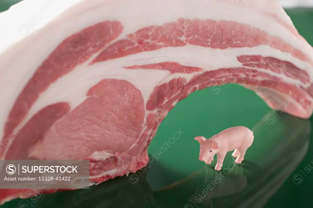 Organic pork chop and toy pig