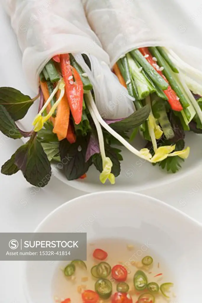 Rice paper rolls filled with vegetables & glass noodles, sauce