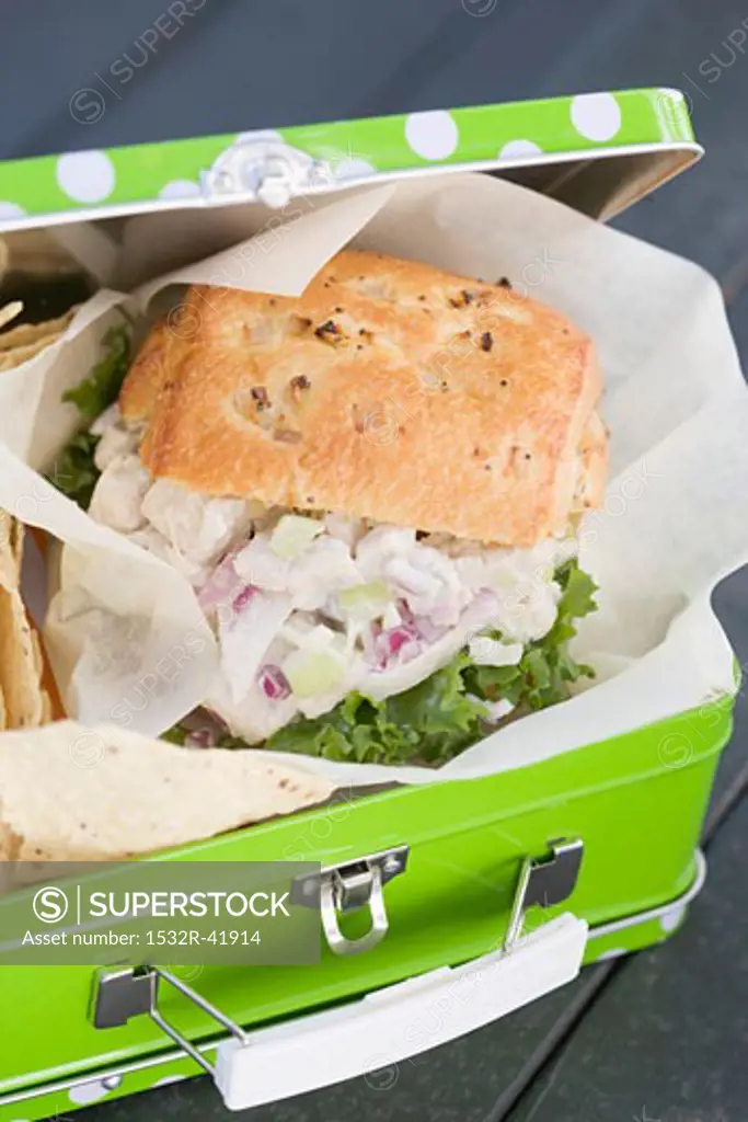 Chicken sandwich and crisps in lunch box (detail)